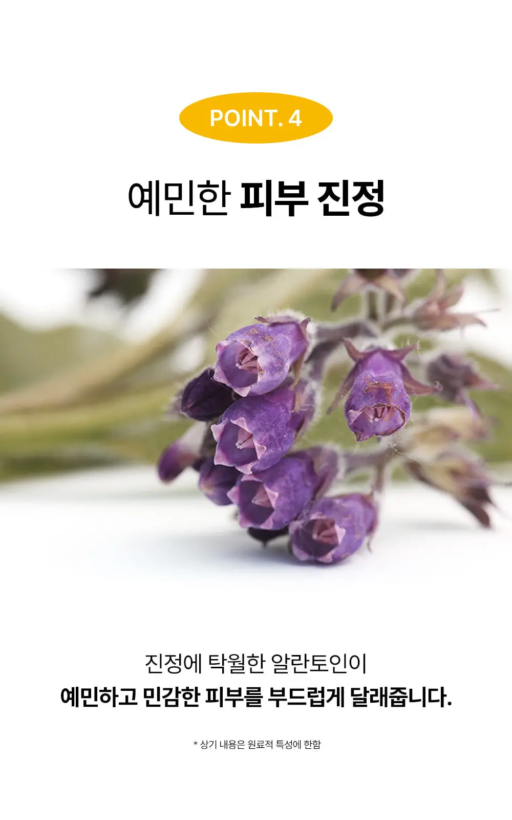 [블랙헤드케어/면봉증정기획] 성분에디터 블랙헤드 멜팅 클리어 패드 기획 (+압출면봉 30개) 상세페이지 26